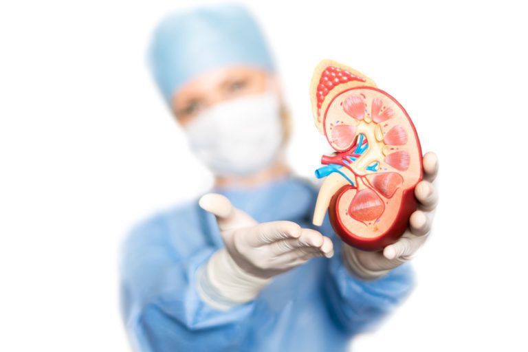 Transplante Renal O que é como é feito riscos e recuperação